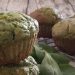 Muffins aux épinards et bananes